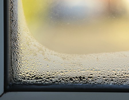 repair condensation in windows